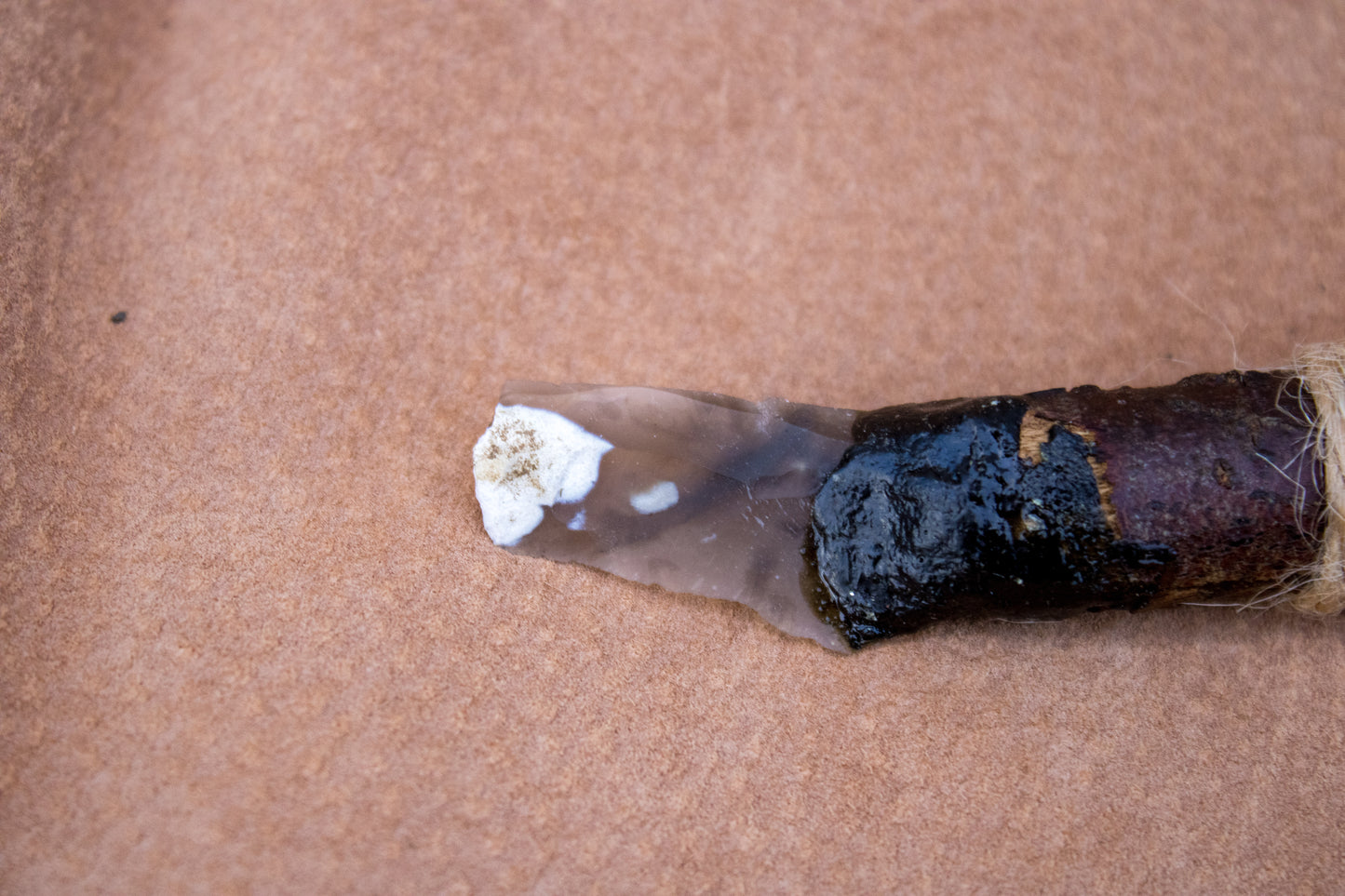 Forager’s Companion