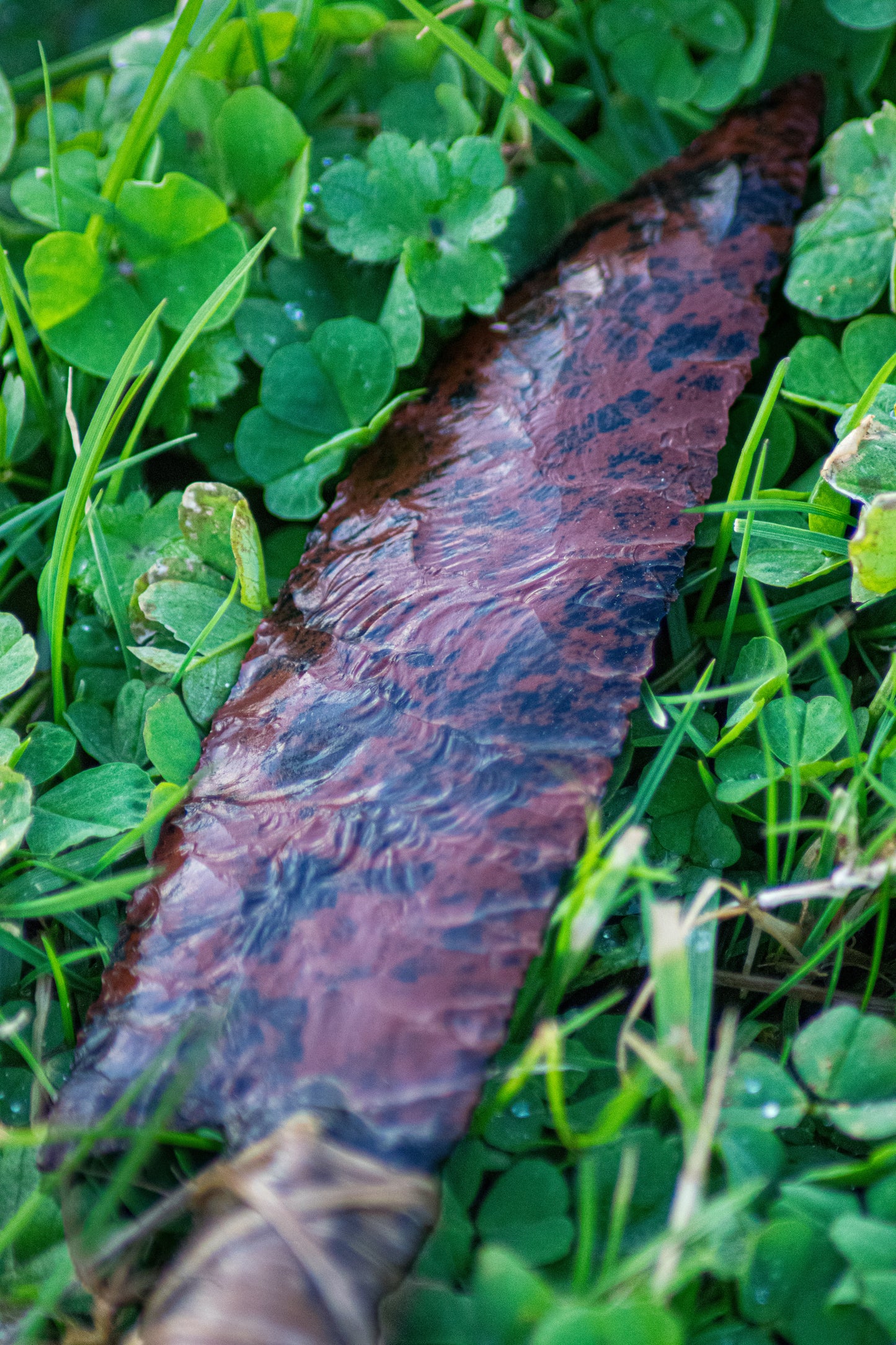 Bowman Lithics Signature Knife #003 – Mahogany Obsidian Tanged Blade with Red Deer Horn Handle