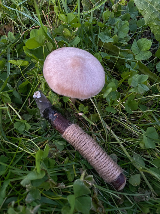 Forager’s Companion