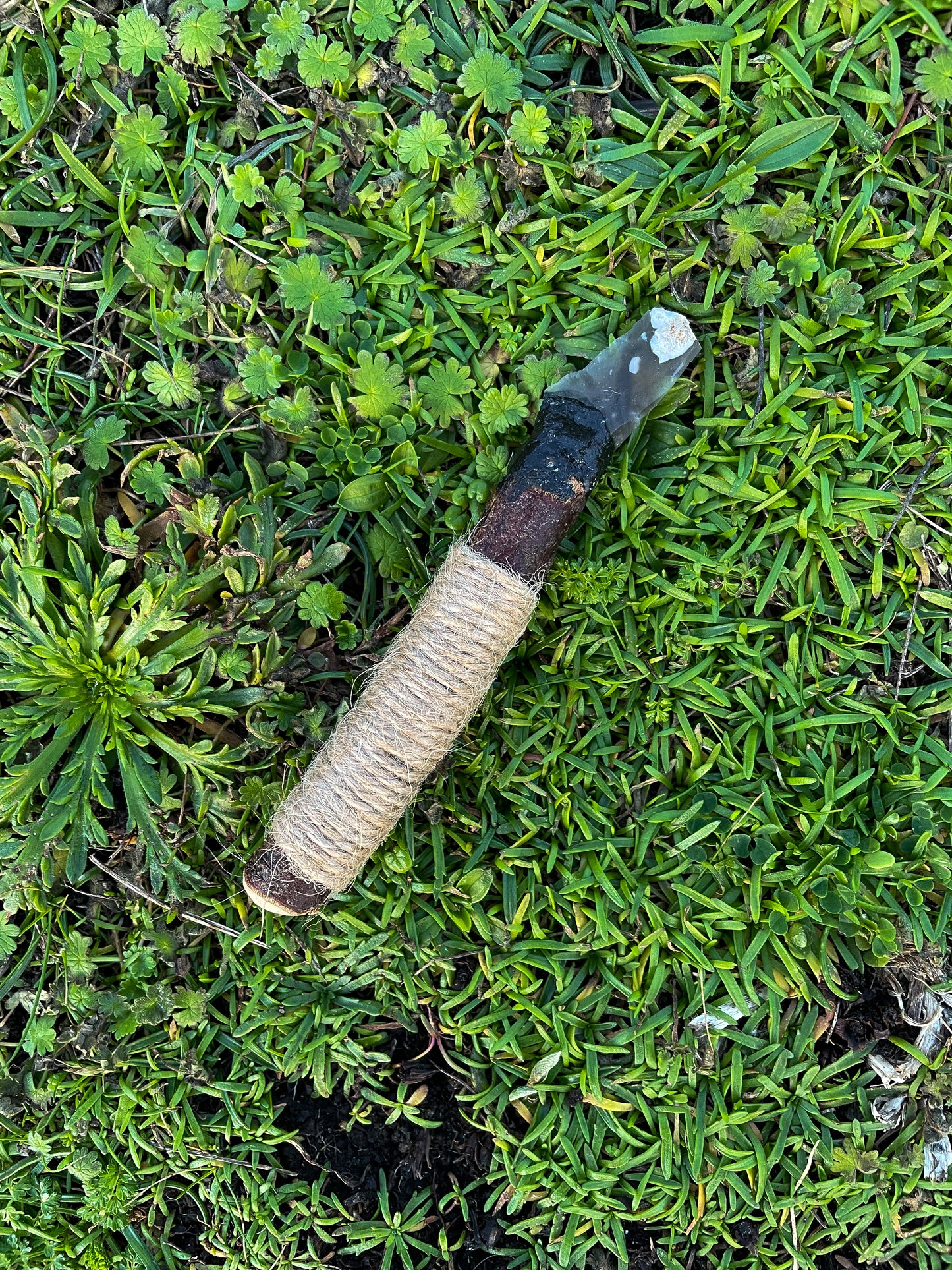 Forager’s Companion