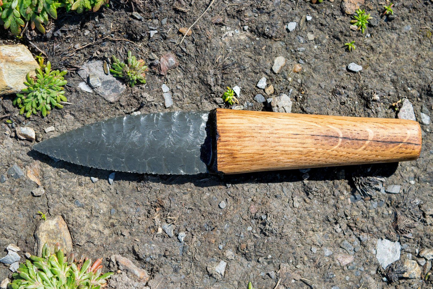 Iceman Dagger No.003 — Oregon Green Sheen Obsidian & English (Cornish) Oak