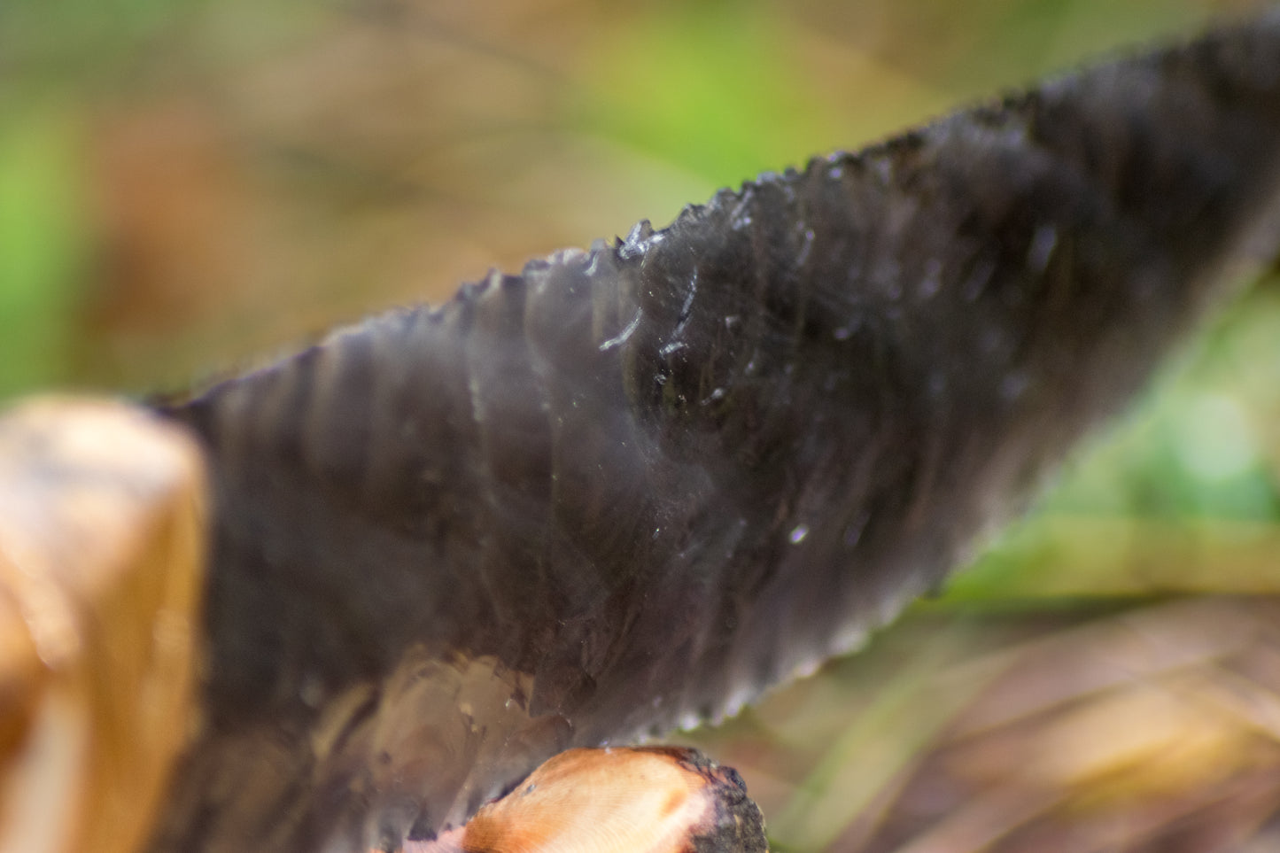 Bowman Lithics Signature Knife #007 – Rainbow Obsidian Straight Back Blade with Red Deer Antler Handle