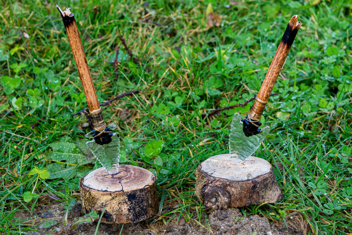 Impact Desk Companion – Studio Glass Edition