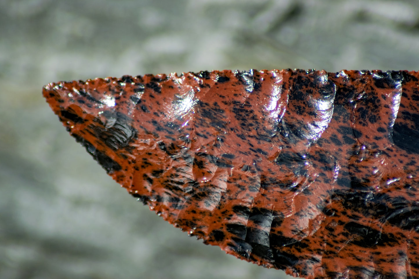 Bowman Lithics Signature Knife #018 – Mahogany Obsidian with Wych Elm, Walnut & Cocobolo Handle