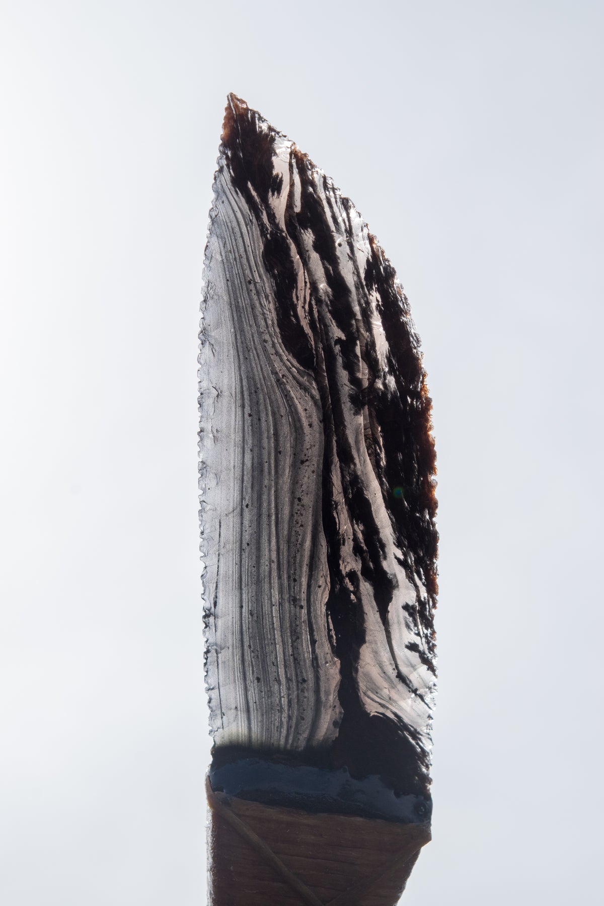 Bowman Lithics Signature Knife #021 – Midnight Lace Obsidian with Tulip, Oak & Burl Handle