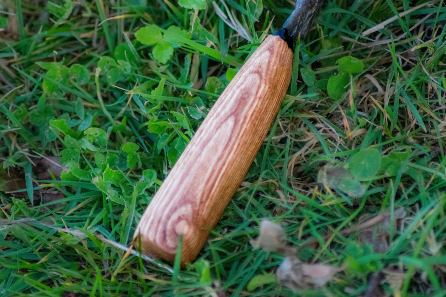 Iceman Dagger No.001 — English Charmouth “Galaxy” Flint & Figured Croatian Ash