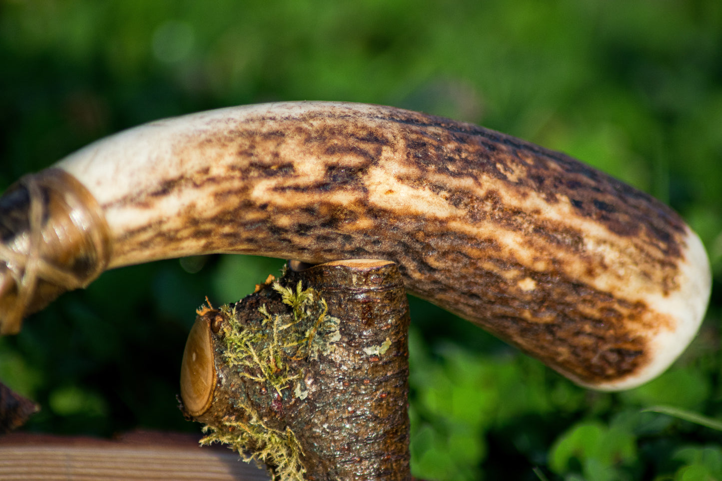 Bowman Lithics Signature Knife #003 – Mahogany Obsidian Tanged Blade with Red Deer Horn Handle