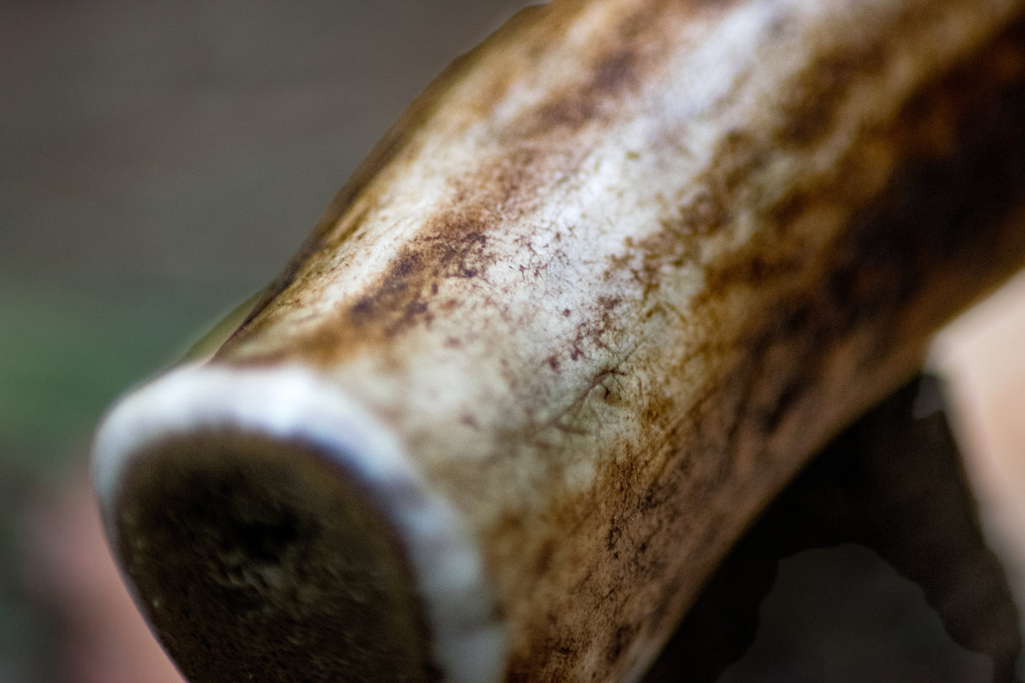 Bowman Lithics Signature Knife #007 – Rainbow Obsidian Straight Back Blade with Red Deer Antler Handle